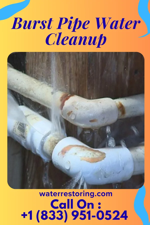 Burst Pipe Water Cleanup in Meckling, SD