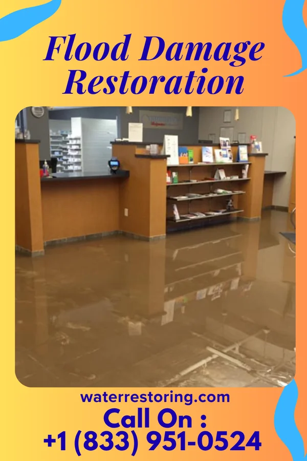 Flood Damage Restoration in Meckling, SD