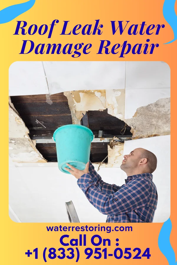 Roof Leak Water Damage Repair in Meckling, SD