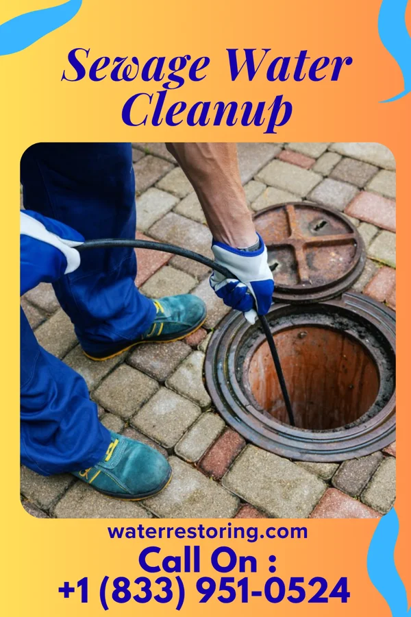 Sewage Water Cleanup in Meckling, SD