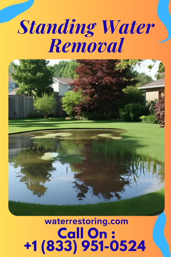 Standing Water Removal in Meckling, SD